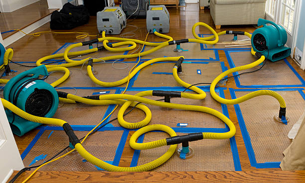 Professional Water Damage Restoration technician working in Perry, KS